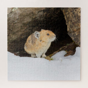 Pika In Snow Jigsaw Puzzle