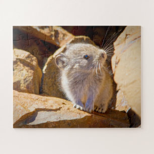 Pika Jigsaw Puzzle