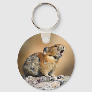pika keychain