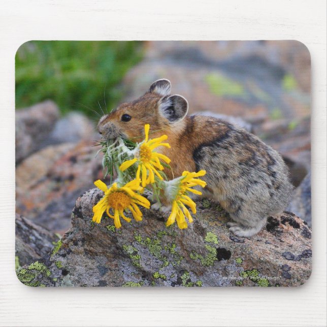 Pika Mouse Pad (Front)