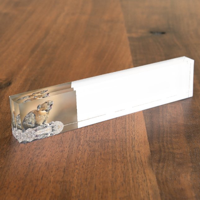 Pika Nameplate (Side)