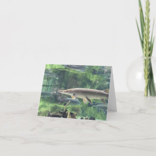 Pike Fish Card