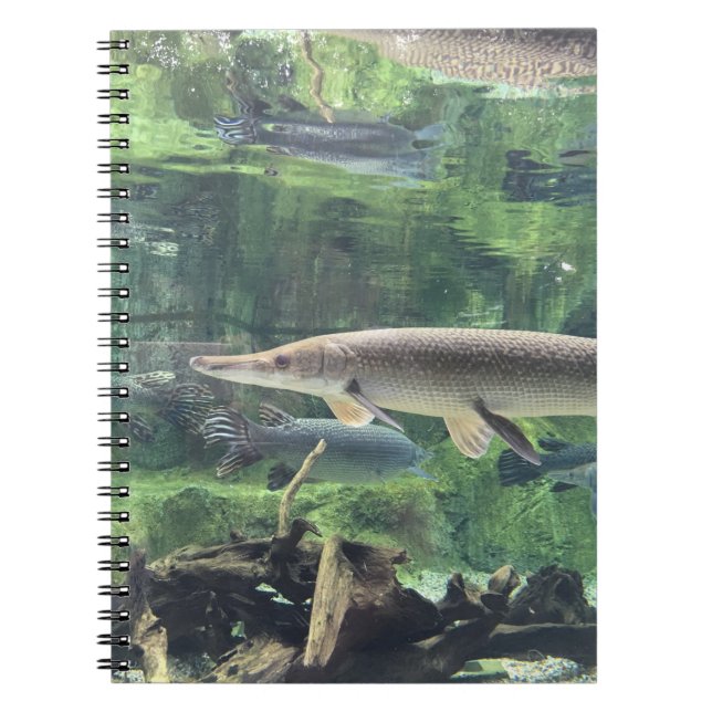 Pike Fish Notebook (Front)
