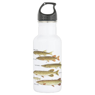 PIKE FISHING FAMILY LIBERTY 532 ML WATER BOTTLE