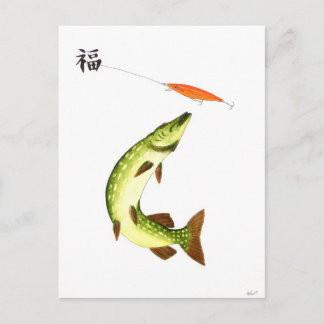Pike fishing postcard