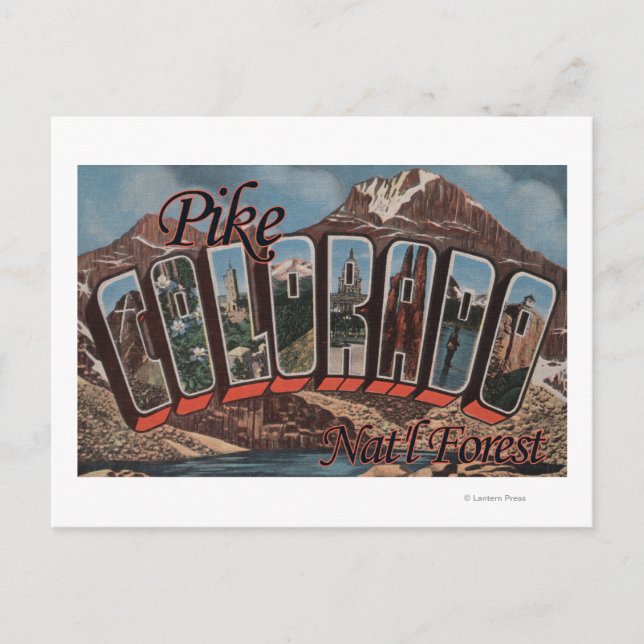 Pike Nat'l Forest, Colorado - Large Letter Scene Postcard (Front)