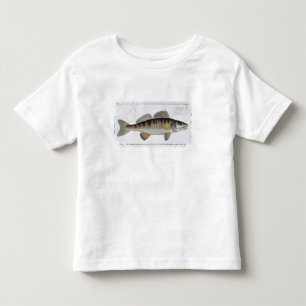 Pike-Perch (Perca lucioperca) plate LI from 'Ichth Toddler T-shirt
