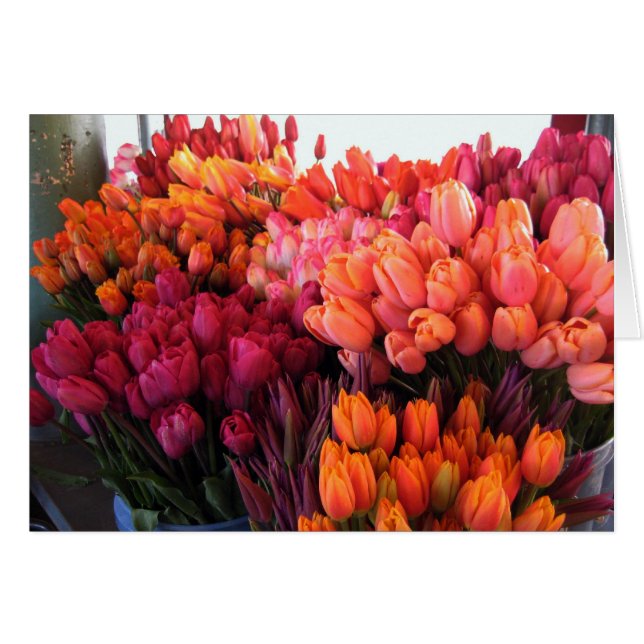 Pike Place Tulips Card (Front Horizontal)