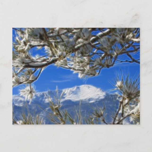 Pikes Peak Winter Snow Covered Fractal Art Postcard (Front)