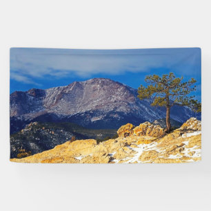 Pikes Peak with Tree in Foreground Banner