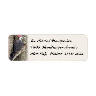 Pilated Woodpecker Custom Return Address Labels
