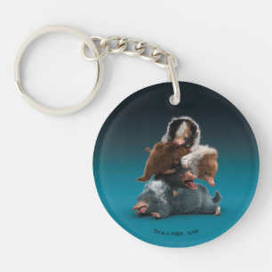 Pile bébé NIFFLER™