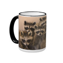 Pile de tasse de ratons laveurs