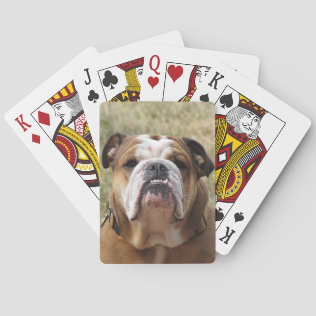 Pile de taureau anglais de cartes à jouer (dos)