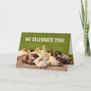 Pile O' Ducks Birthday Card