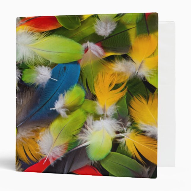 Pile of colourful feathers binder (Front/Inside)