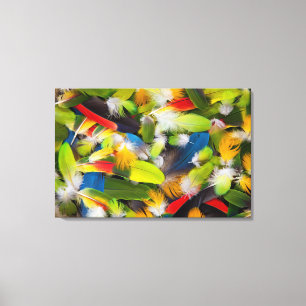 Pile of colourful feathers canvas print