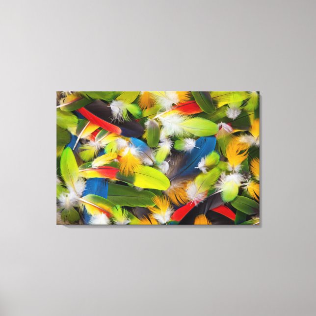 Pile of colourful feathers canvas print (Front)