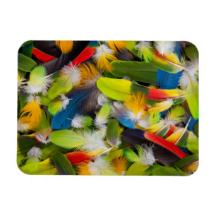 Pile of colourful feathers magnet