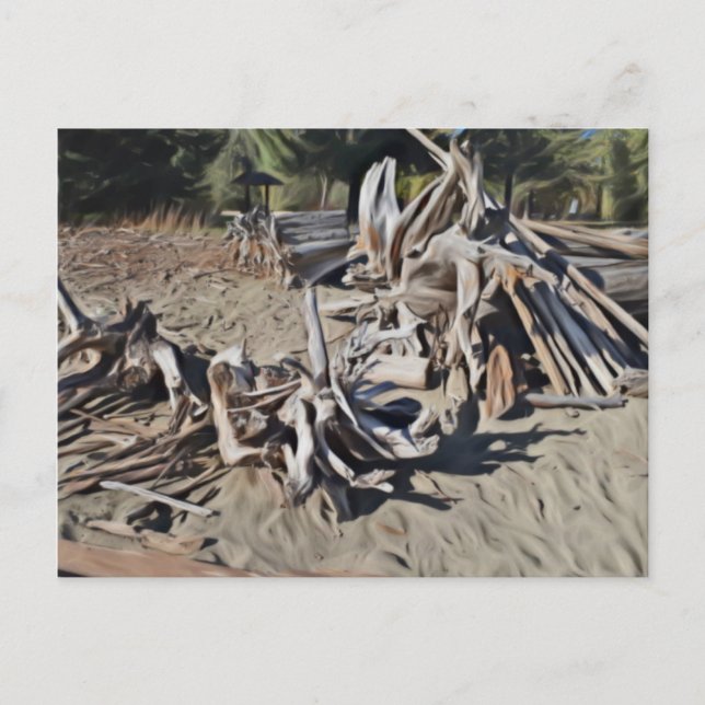 Pile of Driftwood Postcard (Front)