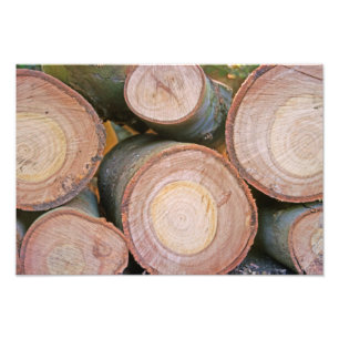 Pile of logs photo print