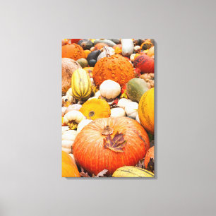 Pile Of Pumpkins And Squash Canvas Print