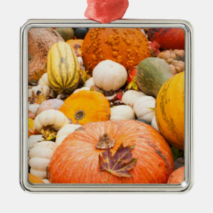 Pile Of Pumpkins And Squash Metal Ornament