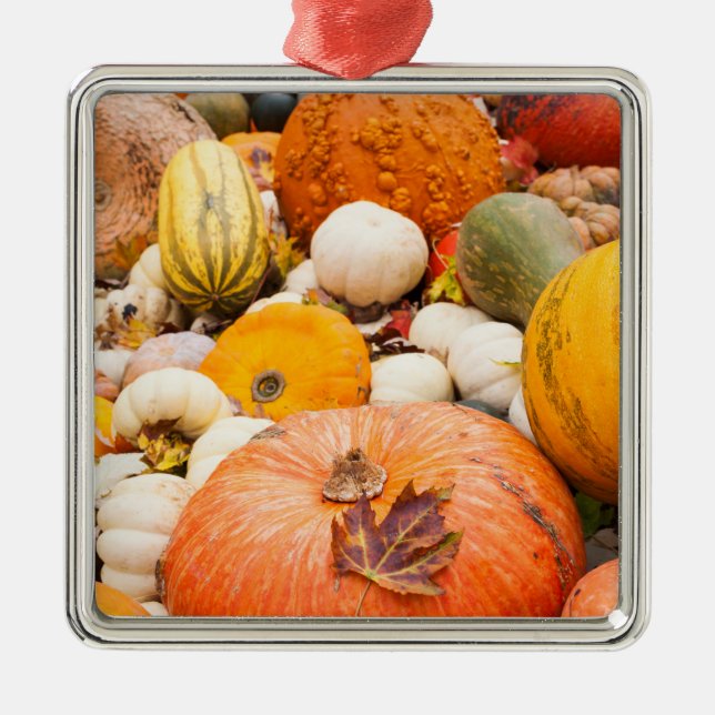 Pile Of Pumpkins And Squash Metal Ornament (Front)