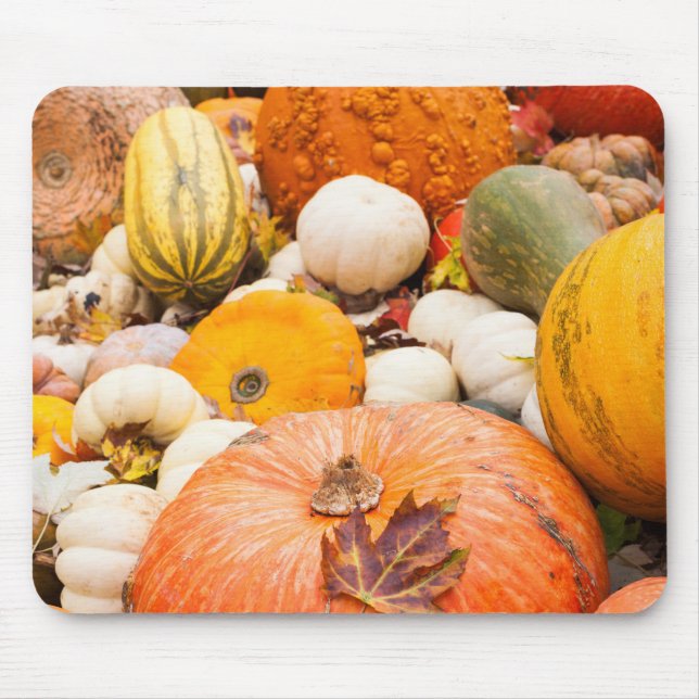 Pile Of Pumpkins And Squash Mouse Pad (Front)