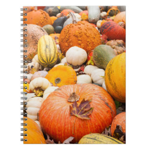 Pile Of Pumpkins And Squash Notebook