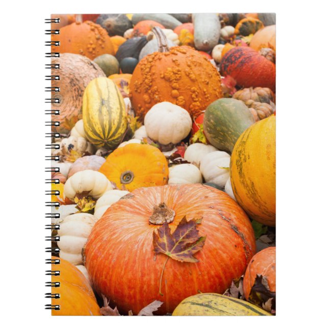 Pile Of Pumpkins And Squash Notebook (Front)