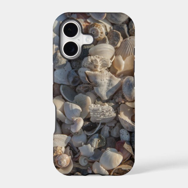 Pile Of Seashells (Back)