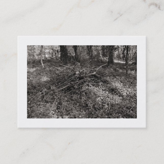 Pile of Sticks (Bordered) Business Card (Front)