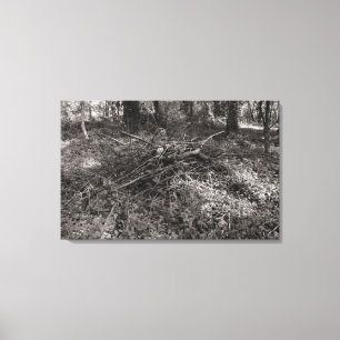 Pile of Sticks - Warm Toned Black and White Canvas Print