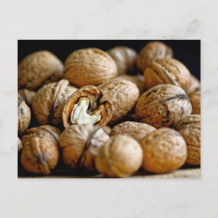 Pile of walnuts photograph postcard