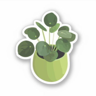 Pilea Peperomioides House Sticker Plante