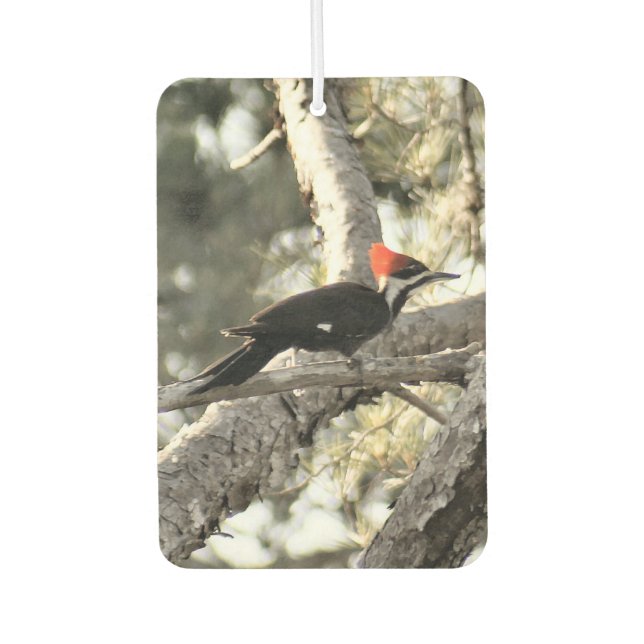 Pileated Woodpecker Air Freshener (Front)
