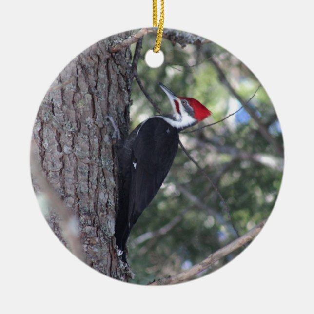Pileated Woodpecker Ceramic Ornament (Front)