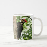 Pileated Woodpecker Coffee Mug