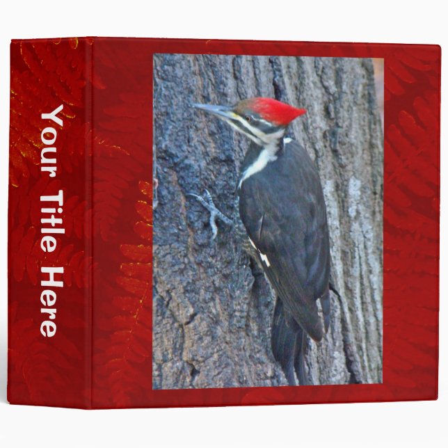 Pileated Woodpecker Coordinated Items Binder (Front/Spine)