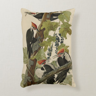 Pileated Woodpecker from Audubon Birds of America Accent Pillow