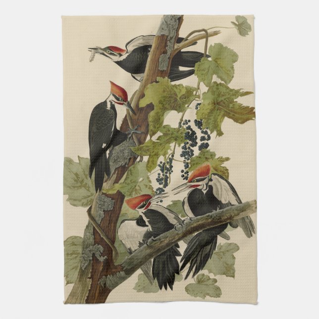 Pileated Woodpecker from Audubon Birds of America Kitchen Towel (Vertical)