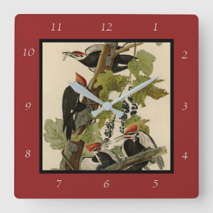 Pileated Woodpecker from Audubon Birds of America Square Wall Clock