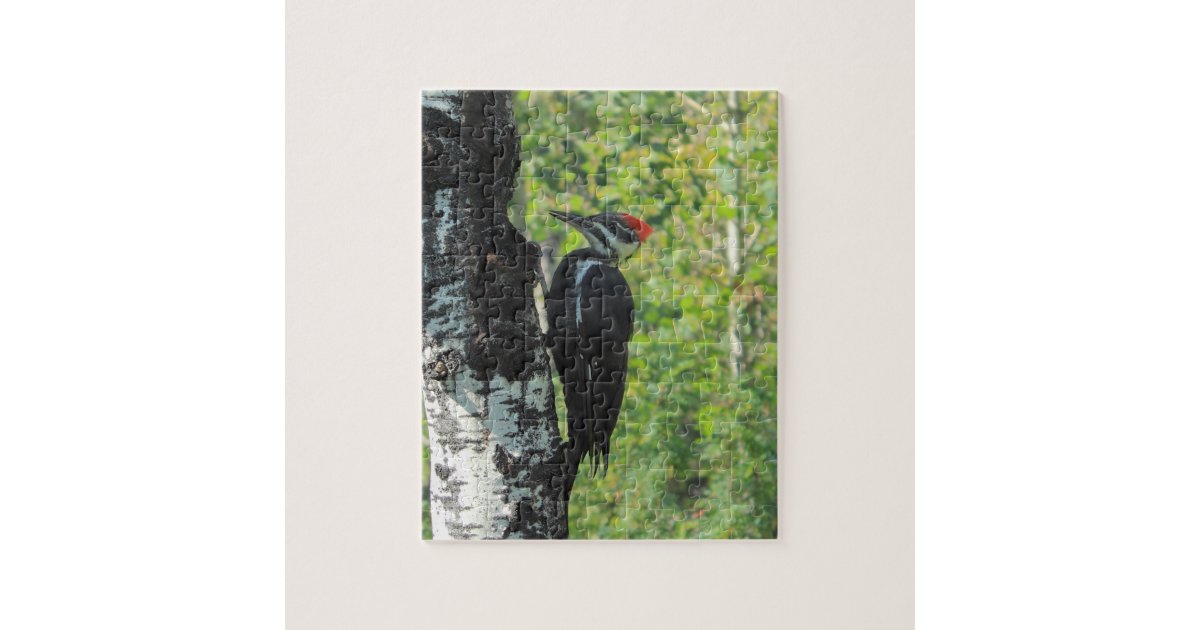 Pileated Woodpecker Jigsaw Puzzle Zazzle