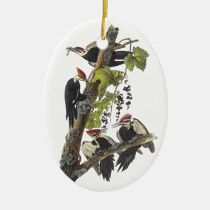 Pileated Woodpecker, John Audubon Ceramic Ornament