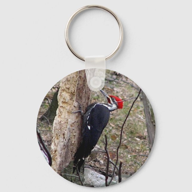 Pileated Woodpecker Keychain (Front)