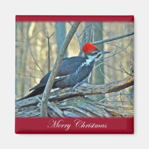 Pileated Woodpecker Merry Christmas Items Magnet