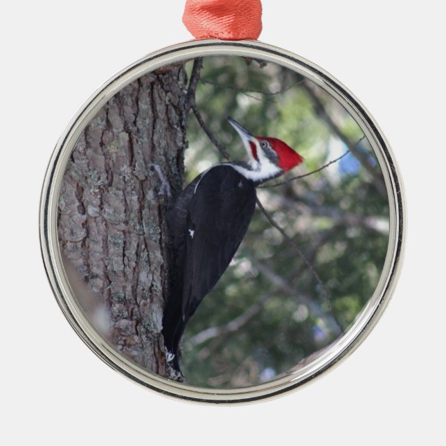 Pileated Woodpecker Metal Ornament (Front)