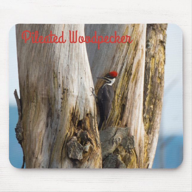 Pileated Woodpecker Mouse Pad (Front)