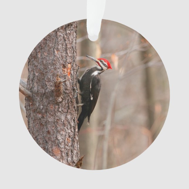 Pileated Woodpecker Ornament (Front)